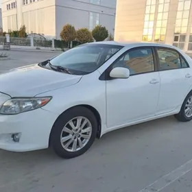 Toyota Corolla 2010