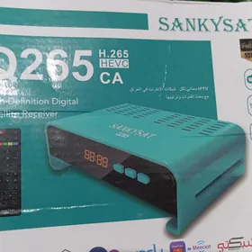 Sanksat tuner