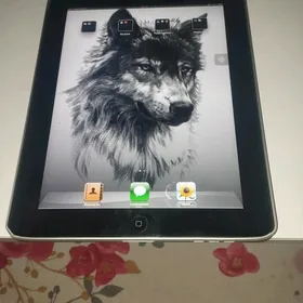 iPad