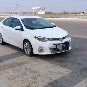 Toyota Corolla 2014