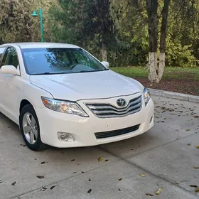 Toyota Camry 2010