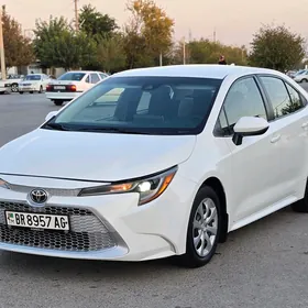 Toyota Corolla 2020