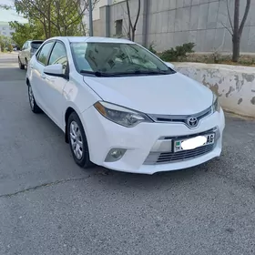 Toyota Corolla 2014