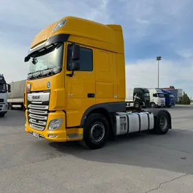 DAF 480 2019