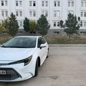 Toyota Corolla 2020