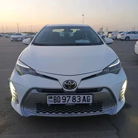 Toyota Corolla 2019