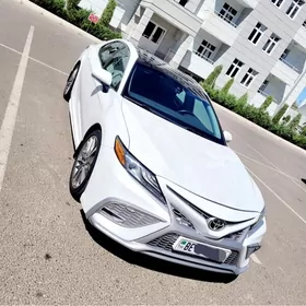 Toyota Camry 2019