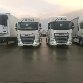 DAF 480 2019