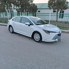 Toyota Corolla 2019