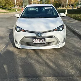 Toyota Corolla 2019