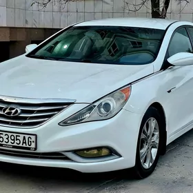 Hyundai Sonata 2010