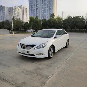 Hyundai Sonata 2010