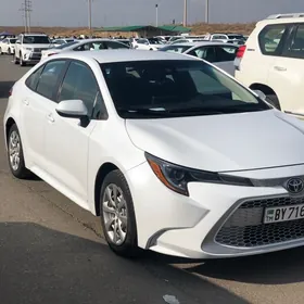 Toyota Corolla 2021