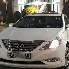 Hyundai Sonata 2010