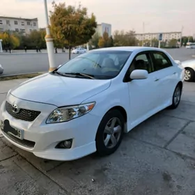 Toyota Corolla 2010