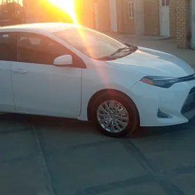 Toyota Corolla 2019