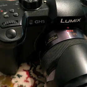 Lumix GH5