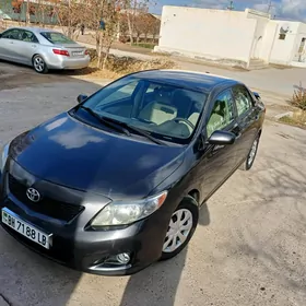 Toyota Corolla 2010