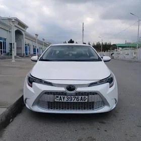 Toyota Corolla 2021