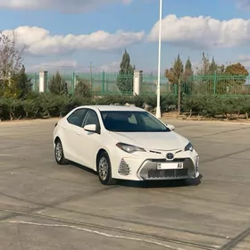 Toyota Corolla 2017