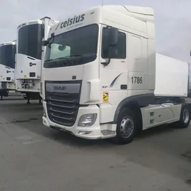 DAF 480 2019