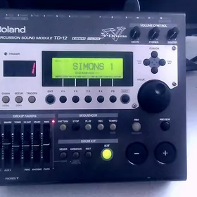 Roland TD12 Punt