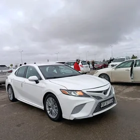 Toyota Camry 2019