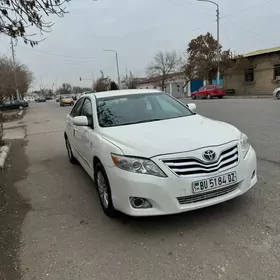 Toyota Camry 2010