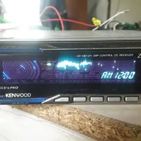 kenwood delfin