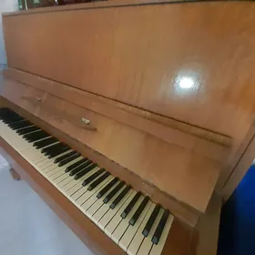 pianino