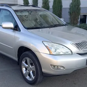 Lexus RX 330 2004