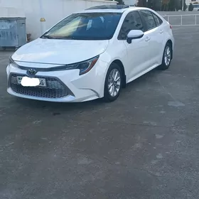 Toyota Corolla 2019