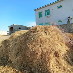 От маллара. Ot mallara.