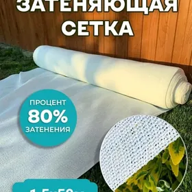 kölegelik setka ak