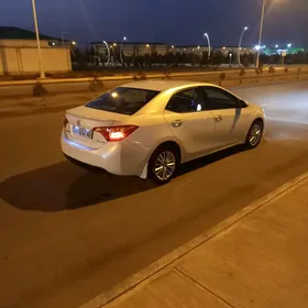 Toyota Corolla 2014