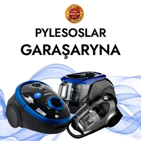 Pylesoslar Garaşaryna