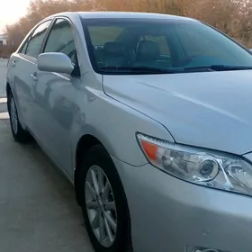 Toyota Camry 2010