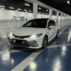 Toyota Camry 2019