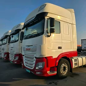 DAF 480 2019