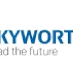 SKYWORTH Бытоваятехника Ремонт