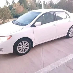 Toyota Corolla 2010