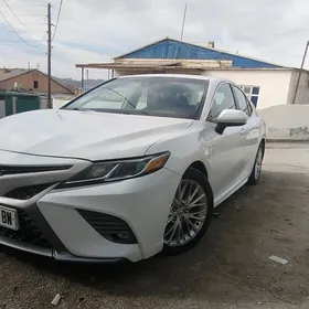 Toyota Camry 2019