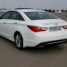 Hyundai Sonata 2010