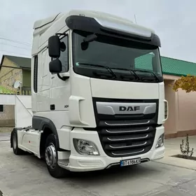 DAF 480 2019