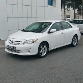 Toyota Corolla 2011