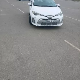 Toyota Corolla 2019