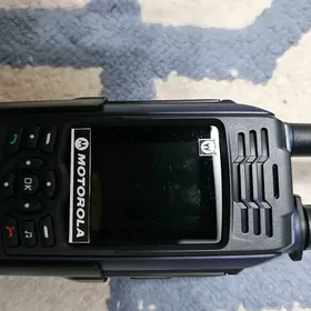 TELEFON SG