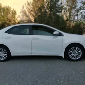 Toyota Corolla 2016