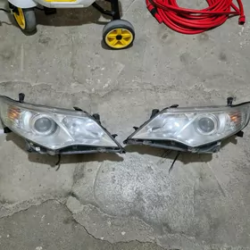 fara cyra palta camry kemry