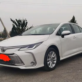 Toyota Corolla 2023